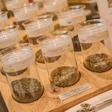 Apart-hotel Almschloessl & Schrotteralm Obertauern