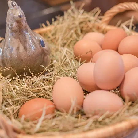 Almschloessl & Schrotteralm